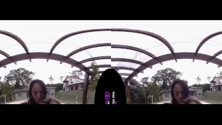 VirtualRealTrans.com – Spring breakers