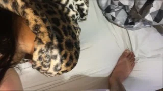 Making the jaguar suck all my cock giving a shot of sperm💧🍆😋