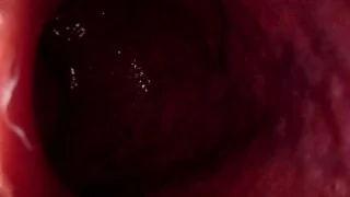 Internal Anal View Large Bad Dragon Rex Pounds My Ass And Cums